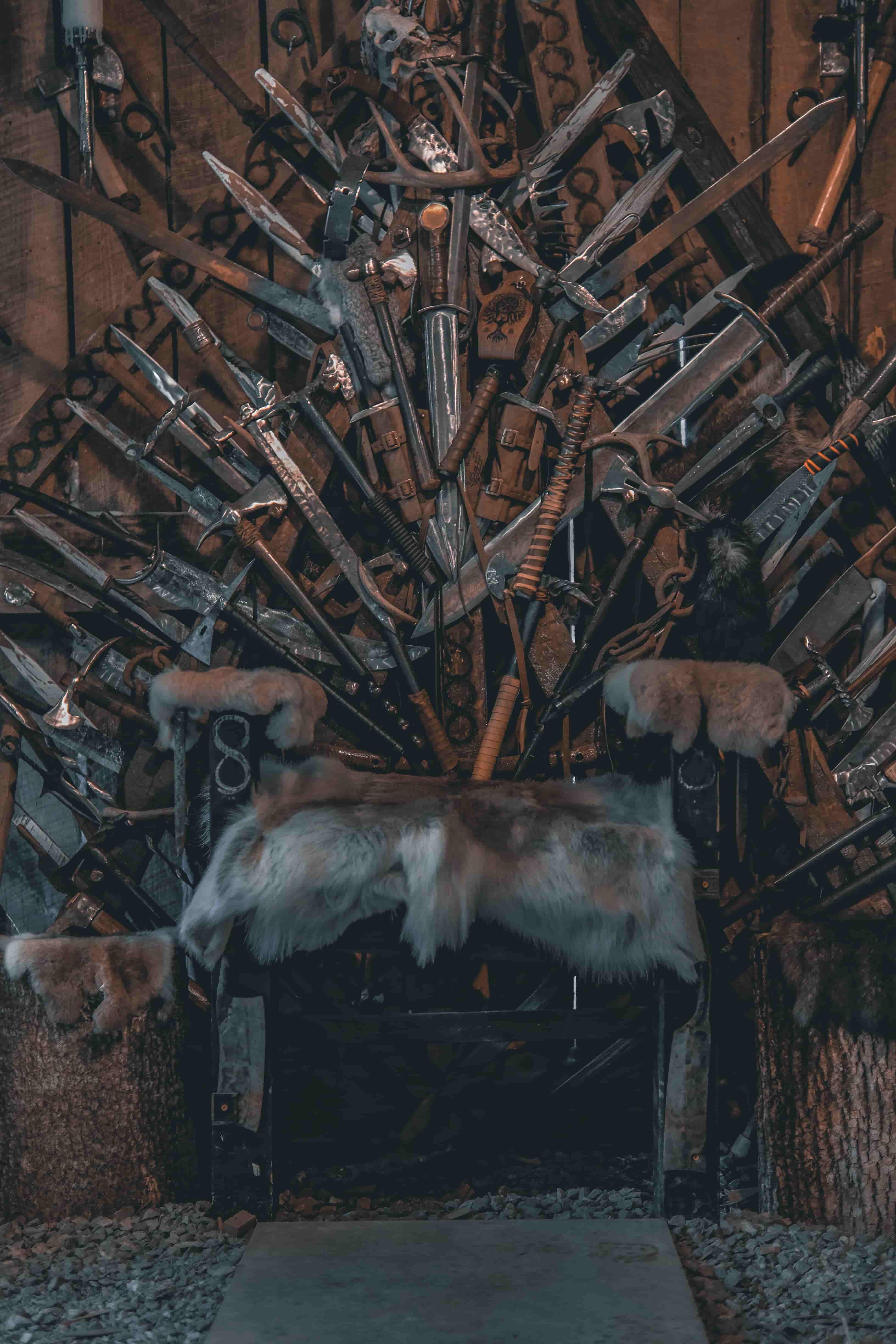 The Viking Throne at The Forge by Vikings Don't Cry